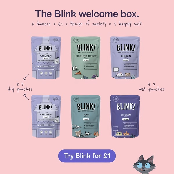 A square-format static ad showing six distinct cat food pouches in a bundle, highlighting a low-cost trial offer to acquire new customers.